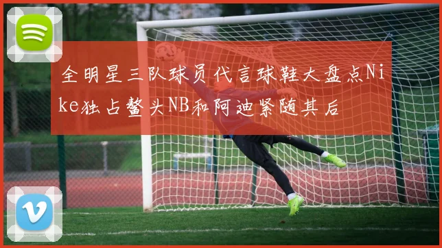 全明星三队球员代言球鞋大盘点Nike独占鳌头NB和阿迪紧随其后