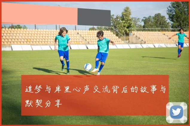 追梦与库里心声交流背后的故事与默契分享