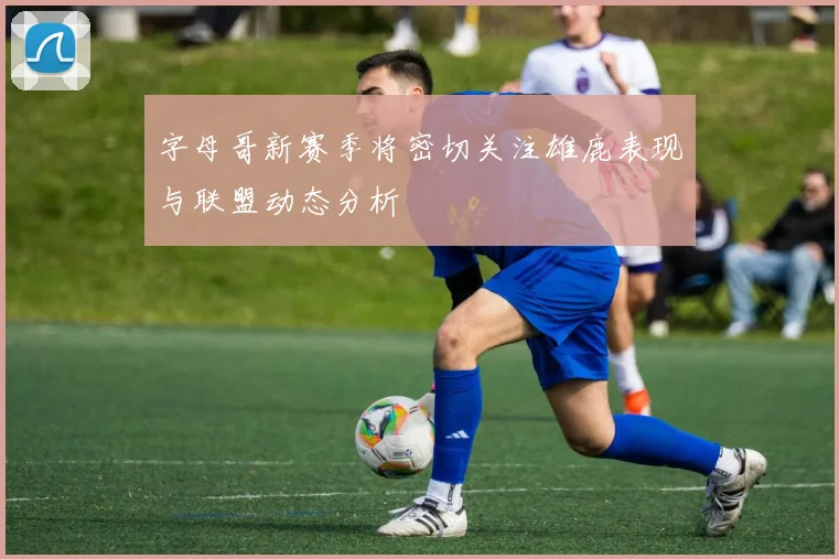 字母哥新赛季将密切关注雄鹿表现与联盟动态分析