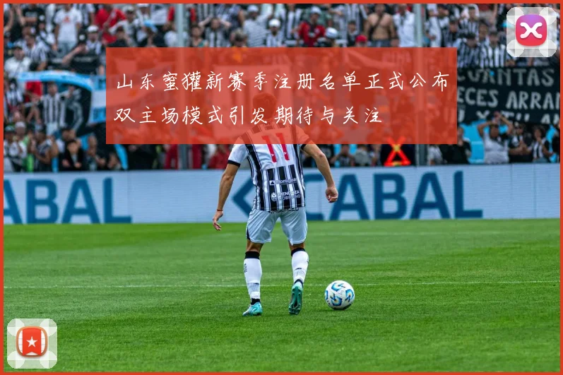 山东蜜獾新赛季注册名单正式公布双主场模式引发期待与关注