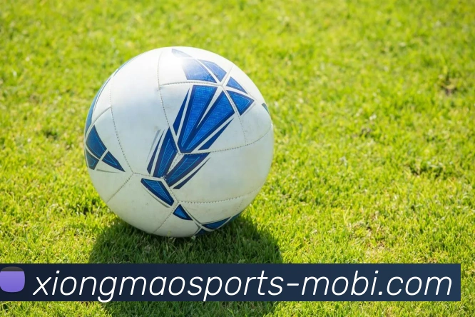 熊猫体育品牌故事