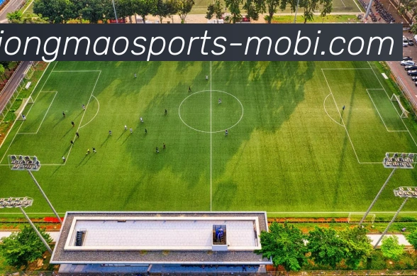 熊猫体育服务体系