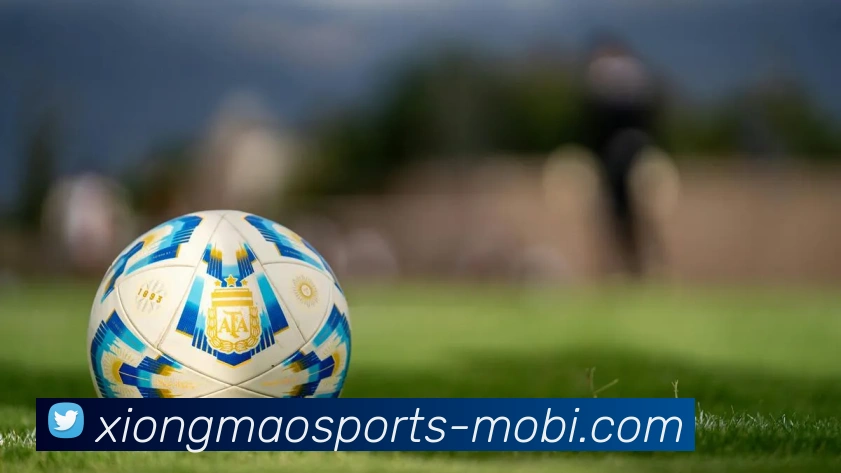 熊猫体育APP 体育赛事宣传图